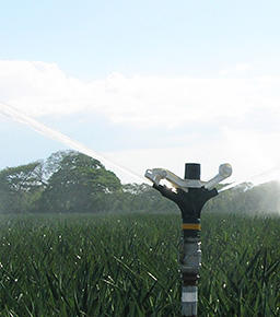 Senninger 80 Series 32mm Sprinkler - Active Water Solutions